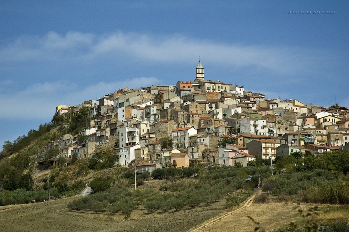 Clicca per vedere l'immagine alla massima grandezza