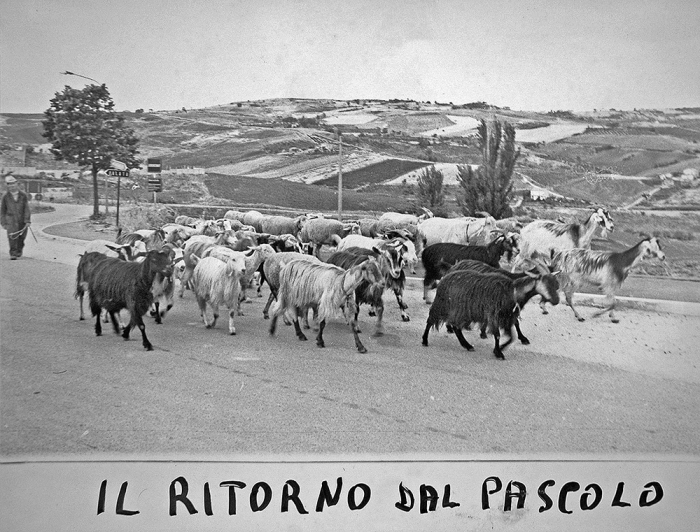 Clicca per vedere l'immagine alla massima grandezza