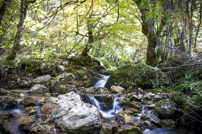 Clicca per vedere l'immagine alla massima grandezza