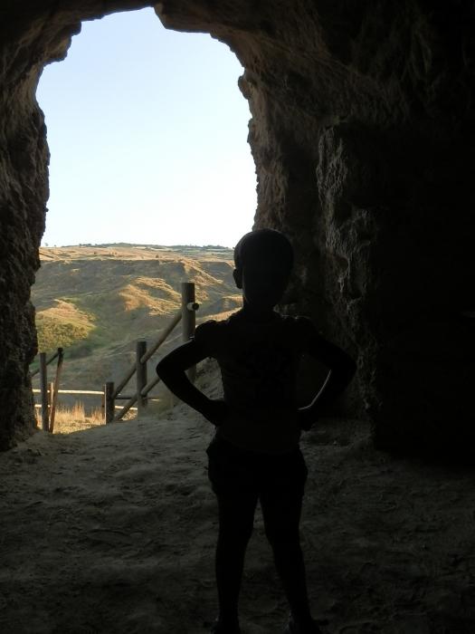 Clicca per vedere l'immagine alla massima grandezza