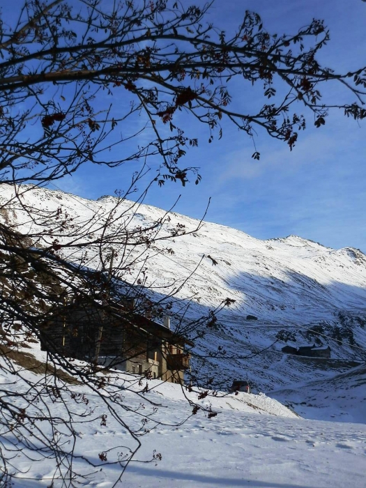 Clicca per vedere l'immagine alla massima grandezza