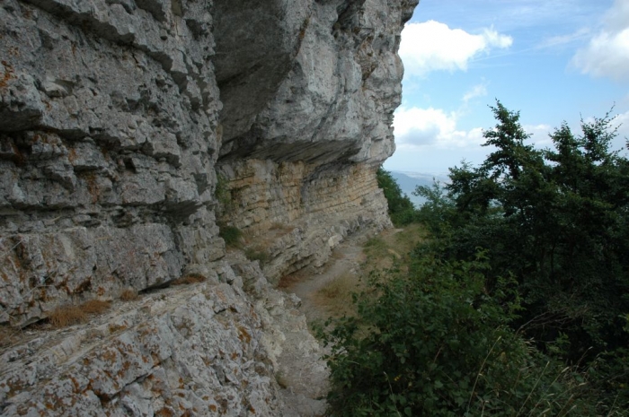 Clicca per vedere l'immagine alla massima grandezza