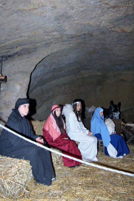 Clicca per vedere l'immagine alla massima grandezza